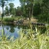 Lily Pond, Fox Lake